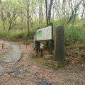 大人のための自然観察会 ③秋の長沼公園編