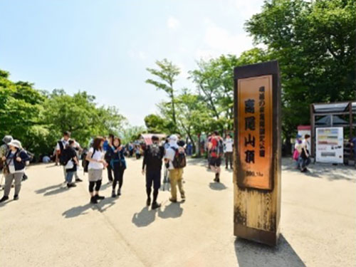 高尾城山